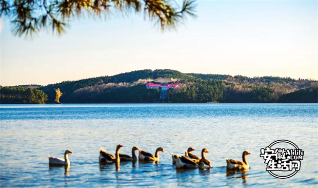 万利国际(中国集团)官方网站