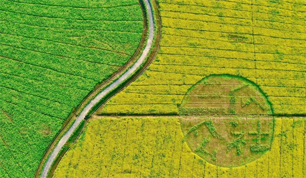 万利国际(中国集团)官方网站