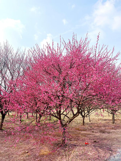 万利国际(中国集团)官方网站