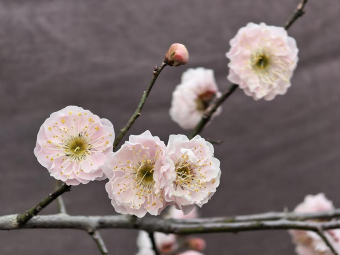 万利国际(中国集团)官方网站